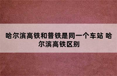 哈尔滨高铁和普铁是同一个车站 哈尔滨高铁区别
